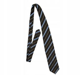 ERMENEGILDO ZEGNA Jedwabny Krawat w Paski