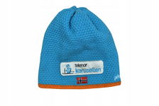 PHENIX Youth Beanie Dziecięca Czapka one siz