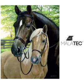 Haft diamentowy- MOZAIKA 5D - Konie