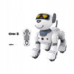 Robot Puppy Dog Toy Toys Robotic Pet Toy Blue