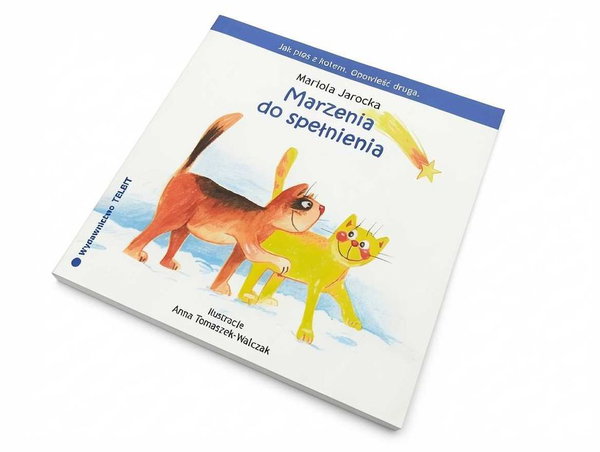 D209 Książka Marzenia Do Spełnienia Mariola Jarocka Nowa