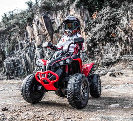 QUAD CAN AM MAVERICK ATV 4X4, PILOT, AMORTYZATORY, PASY/DK-CA002