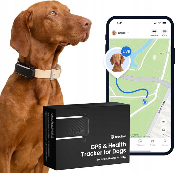 LOKALIZATOR GPS DLA PSA ŚLEDZENIE W CZASIE RZECZYWISTYM MONITORING