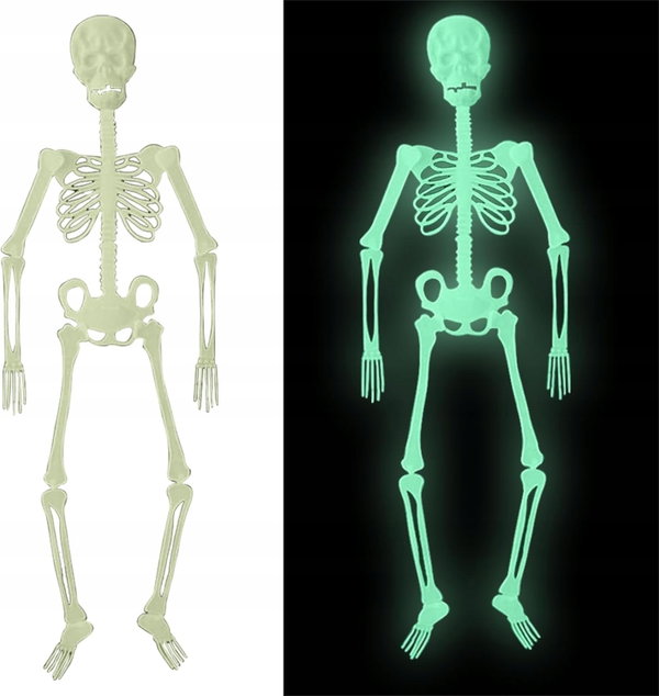 ŚWIECĄCY SZKIELET CZASZKA 3D HALLOWEEN 90 CM DEKORACJA STRASZNA