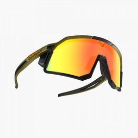 DYNAFIT Okulary przeciwsłoneczne Sky Evo zielone/czarne