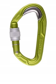 Karabinek wspinaczkowy Edelrid Bulletproof Screw 20 mm zielony