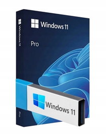 Program MICROSOFT Windows 11 Professional Box