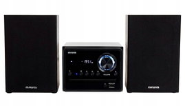 Wieża AIWA MSBTU-300 Czarny