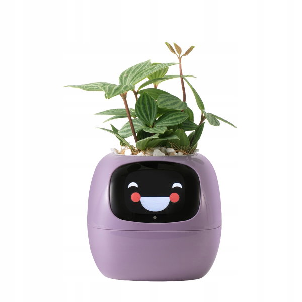 Doniczka inteligentna PLANTSIO IVY Wi-fi Fioletowy