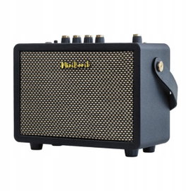 Wzmacniacz gitarowy DK TECHNOLOGY iG-10Pro Czarny
