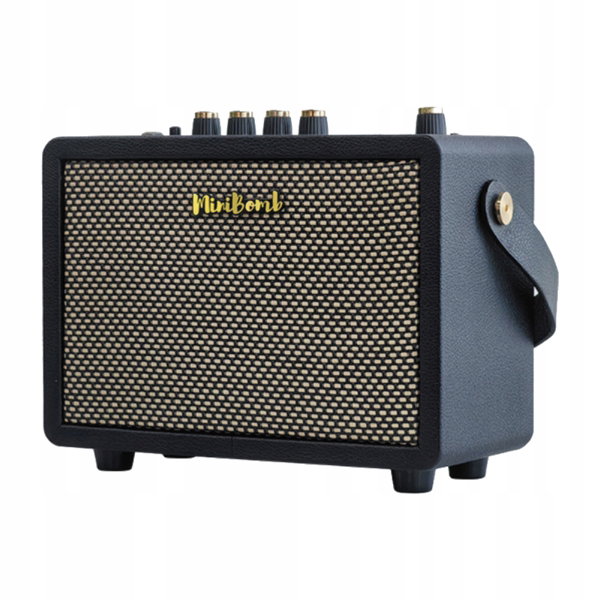 Wzmacniacz gitarowy DK TECHNOLOGY iG-10Pro Czarny