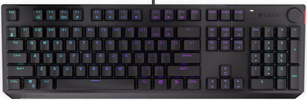 Klawiatura ENDORFY Thock Kailh Blue