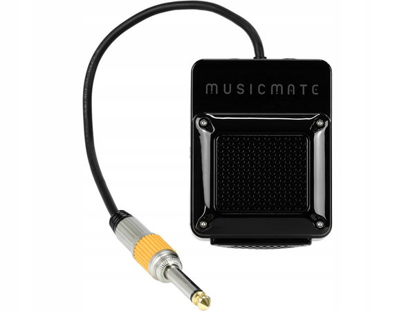 Wzmacniacz gitarowy MUSICMATE MM-A40 ToneForce