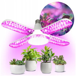 Żarówka LED do roślin KOBI Design Planty 40W E27