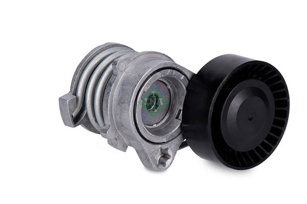 534005010/INA NAPINACZ PASKA WIELOROWK. BMW M54