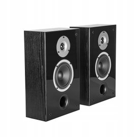Kolumny Głosniki naścienna Wilson Raptor On Wall Czarny Stereo Para 2szt.