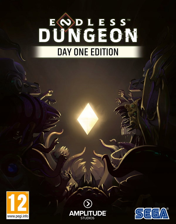 Gra na PC - Endless Dungeon - Edycja Day One