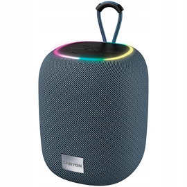 Głośnik bluetooth CANYON BSP-8 10W Szary