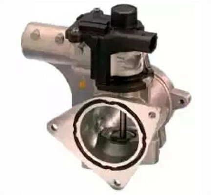 Zawór EGR MAGNETI MARELLI 571822112154