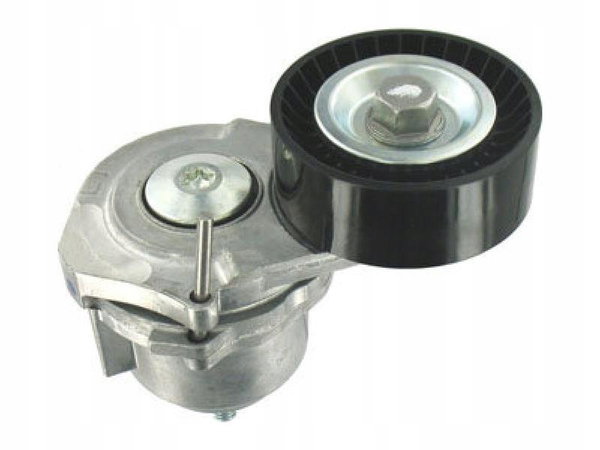 Napinacz paska wielorowkowego SKF VKM 35024