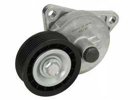 Napinacz paska wielorowkowego SKF VKM 34010