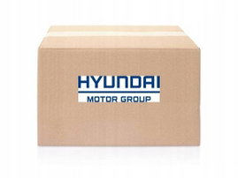 Króciec przewodu olejowego turbosprężarki OE HYUNDAI 986201H500