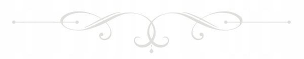 Meyer, Breaking Dawn CD - Stephenie Meyer