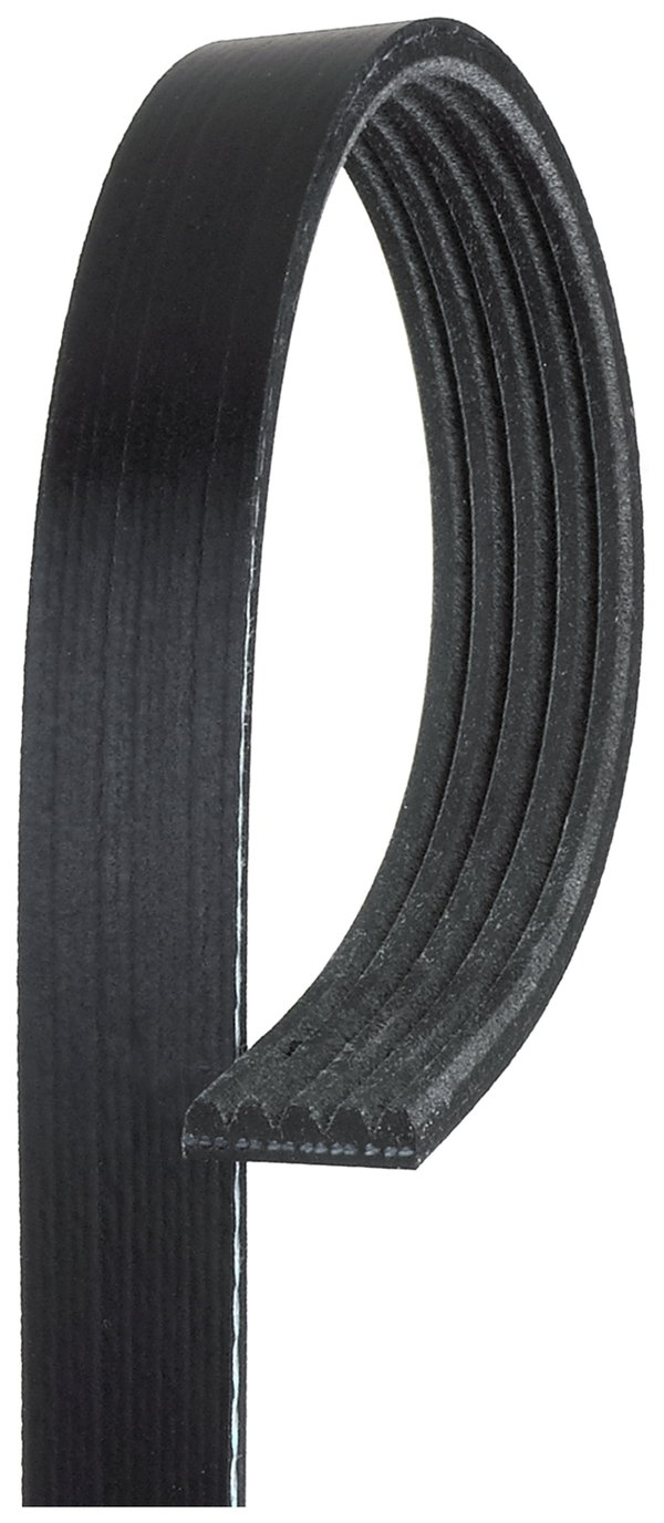 PASEK W/KLINOWY 5PK1236SF GATES