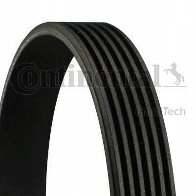 Continental 6PK1020 EXTRA Pasek klinowy wielorowkowy