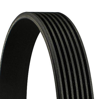 Continental 7PK3120 Pasek klinowy wielorowkowy