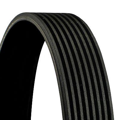 Continental 8PK2460 Pasek klinowy wielorowkowy