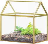 NCYP Małe szklane terrarium z pokrywką 15,5 x 11 x 16 cm