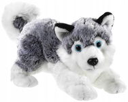 HEUNEC Misanimo miękka przytulanka HUSKY 28 cm