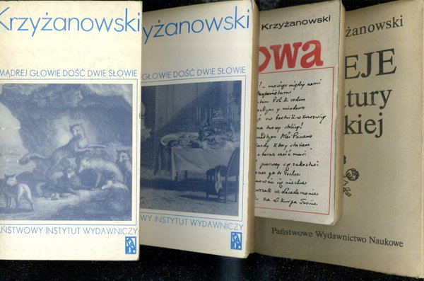 Dzieje literatury polskiej Julian Krzyżanowski