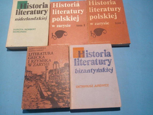 Historia literatury niderlandzkiej Dorota i Norbert Morciniec