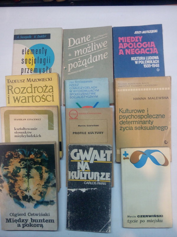 Elementy socjologii przemysłu Sarapata