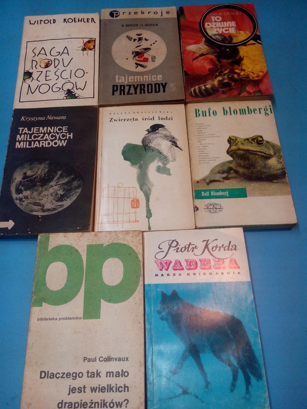 Dlaczego tak mało jest wielkich drapieżników?