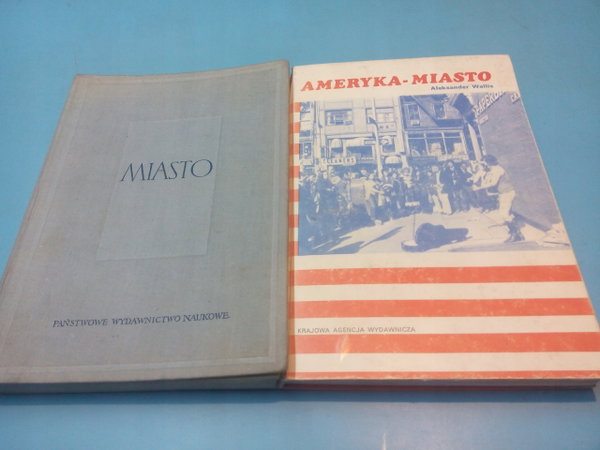 AMERYKA - MIASTO ALEKSANDER WALLIS
