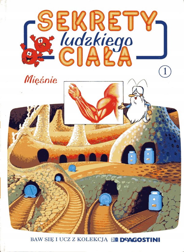 Sekrety ludzkiego ciałą Mięśnie red. Łukawski