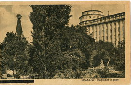 Pocztówka KRAKÓW Fragment plant