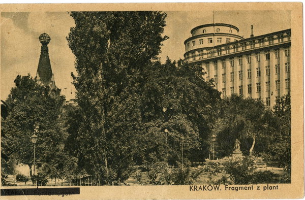 Pocztówka KRAKÓW Fragment plant