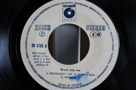 SP CHÓR DZIECIĘCY - Niech żyje las