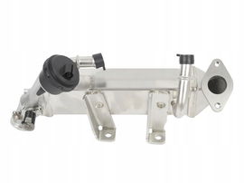 CHŁODNICA SPALIN (2.0 DCI) RENAULT ESPACE [IV] LAGUNA [III] MASTER [III] TR