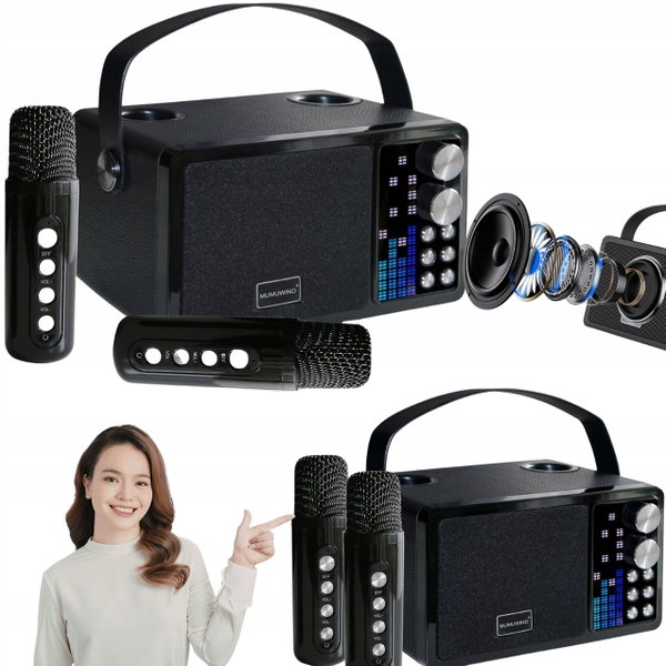 Zestaw do karaoke Bluetooth 2 mikrofony LED głośnik przenośny USB TF AUX