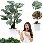 Briful 63CM Duża Sztuczna Roślina Calathea Orbifolia Goeppertia w Doniczce