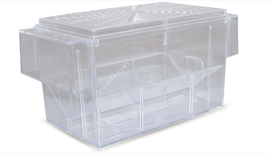 Akwarium dla gupików Beeztees - duże - 20x9x10 cm