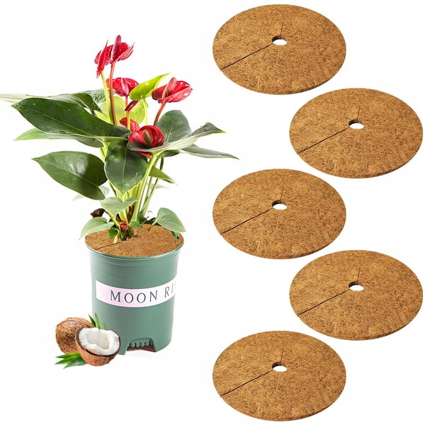 Maty kokosowe EcoPlant Protect 20cm ochrona roślin trwała 5 sztuk