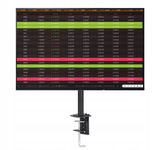 EIZO FLEXSCAN EV2456 IPS LED 16:10 DP