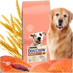 Sucha Karma Dla Dorosłych Wrażliwych Psów z Łososiem Purina Dog Chow 14 kg