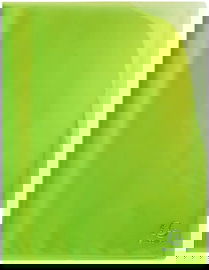 Teczka ekspozycyjna na dokumenty A4 Exacompta 85873E 40 rękawów zielona